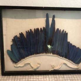 Parure plumes Amazonie